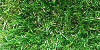 Искусственная трава Тропикана 35мм Тропикана 35мм фото 1 | FLOORDEALER